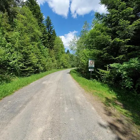 Smerekowiec Domek W Lesie - Beskid Niski Esterno foto