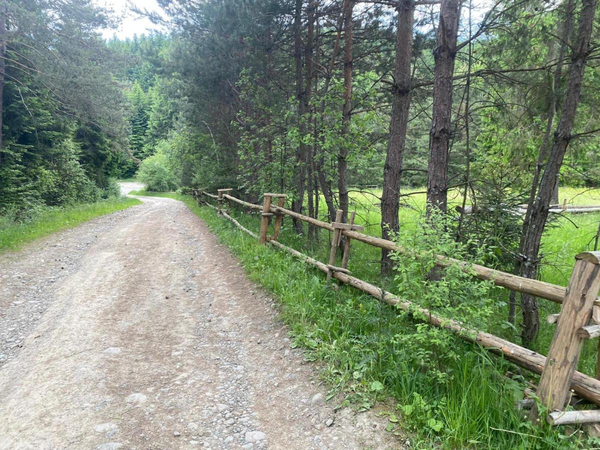 W Lesie - Beskid Niski * Smerekowiec