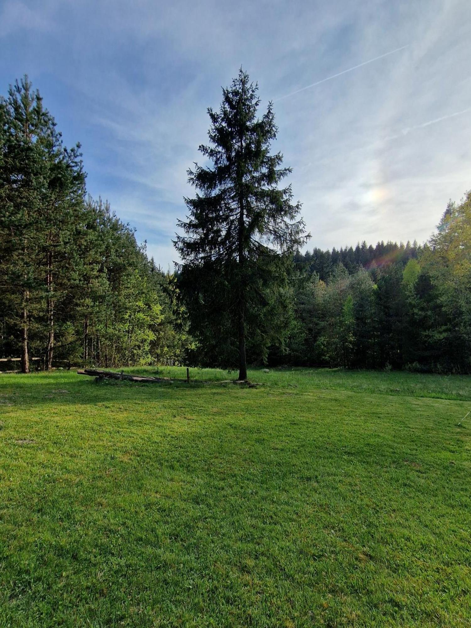 Ferienhaus W Lesie - Beskid Niski Smerekowiec