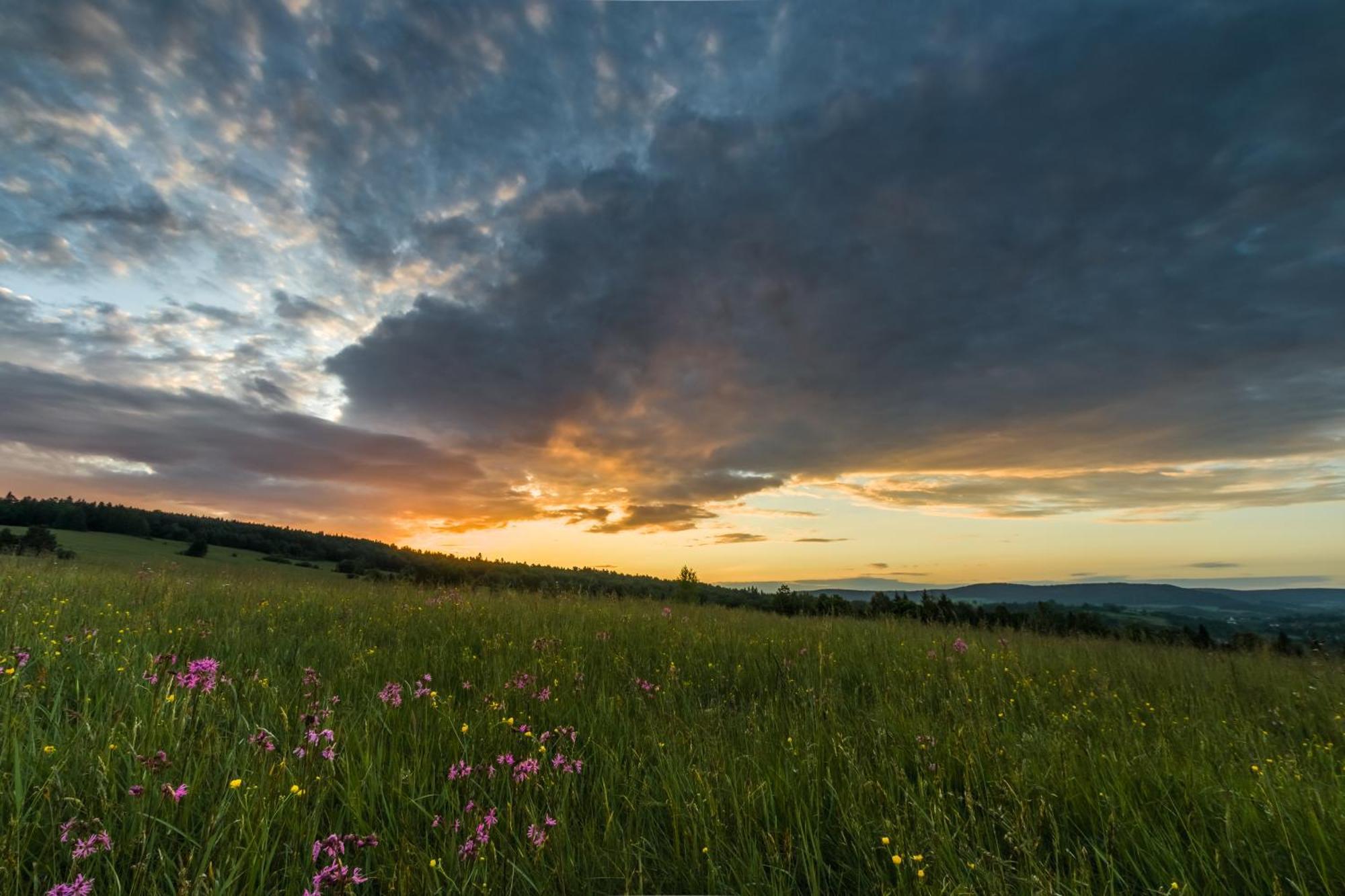 W Lesie - Beskid Niski