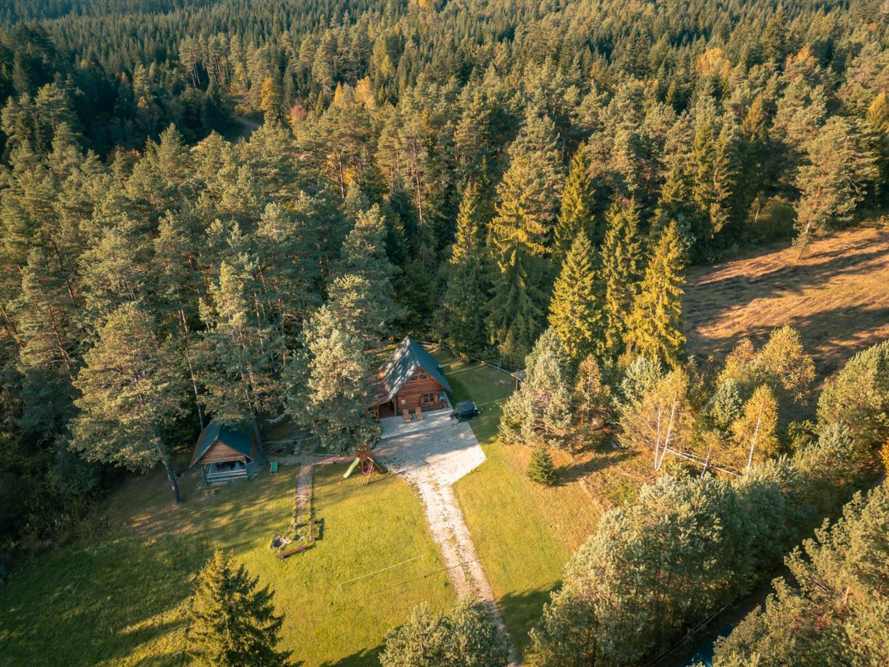W Lesie - Beskid Niski *