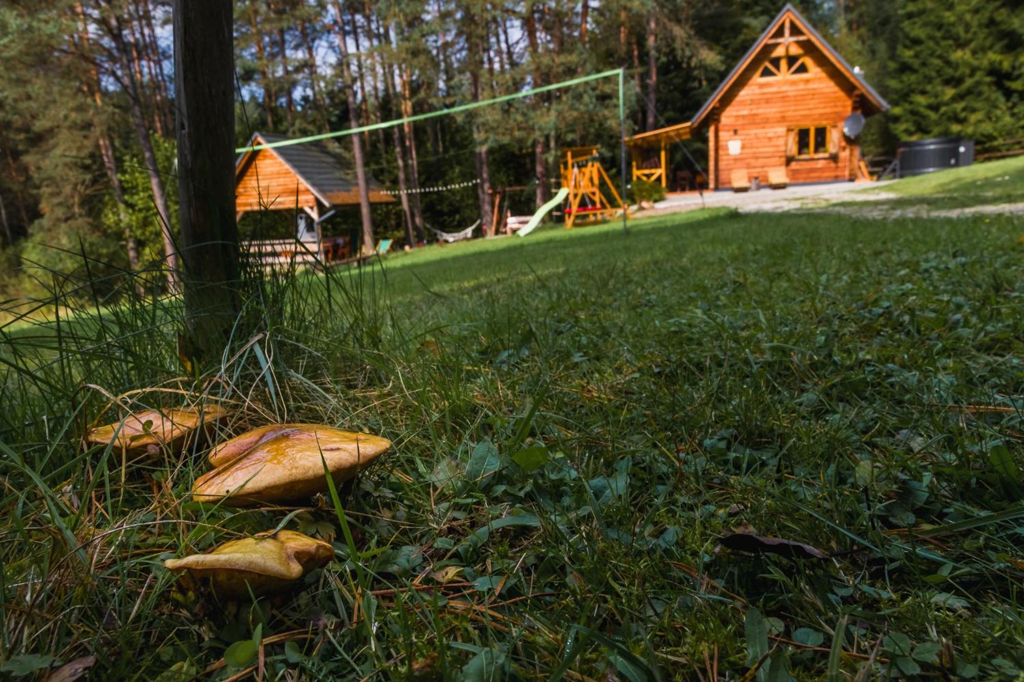 W Lesie - Beskid Niski Smerekowiec