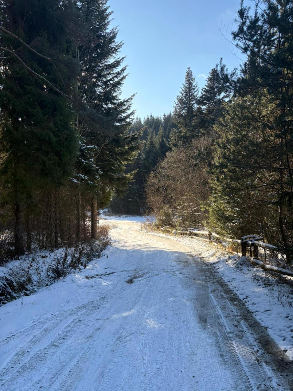 W Lesie - Beskid Niski Ferienhaus *