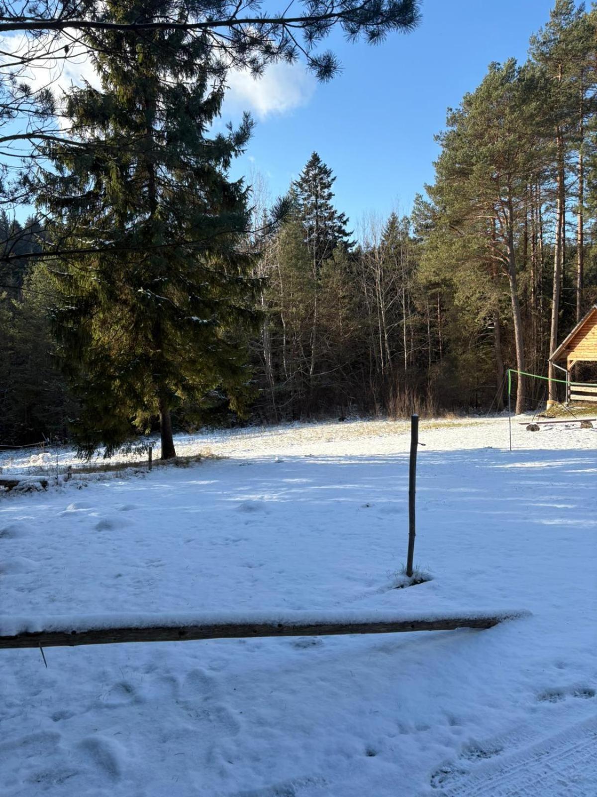 Ferienhaus W Lesie - Beskid Niski Smerekowiec